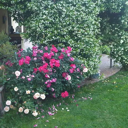 Casa Del Bosco *